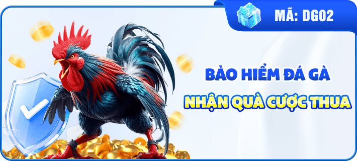bh đá gà LLwin